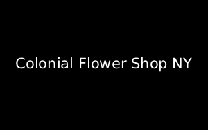 Florist Listing Category Colonial Flower Shop NY