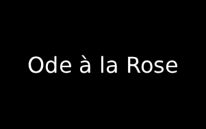 Florist Listing Category Ode à la Rose