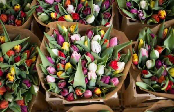 Manhasset Florist & Beyond Gallery 2