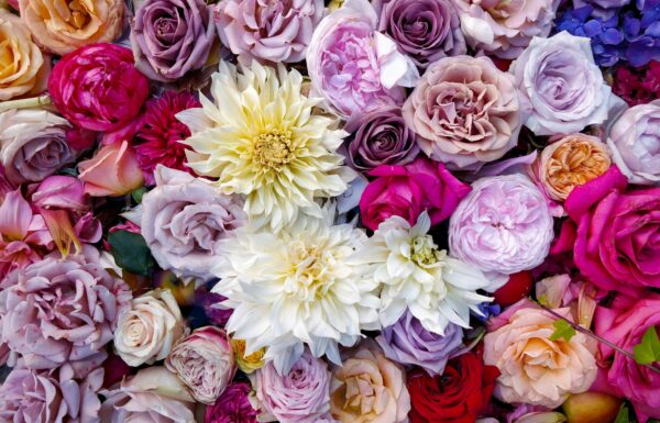 Manhasset Florist & Beyond Gallery 1