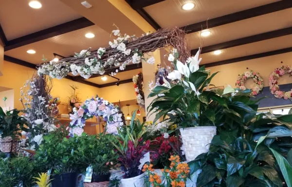 Country Arts In Flowers Gallery 0