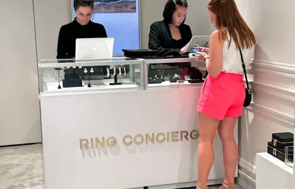 Ring Concierge Gallery 2