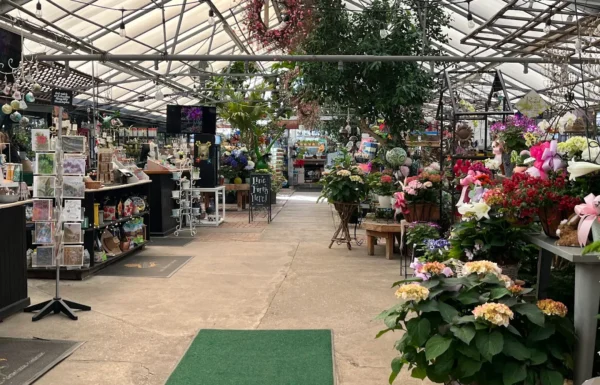 Bayport Flower Houses Gallery 2