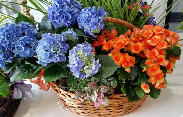 The Village Flower Shoppe Gallery 2
