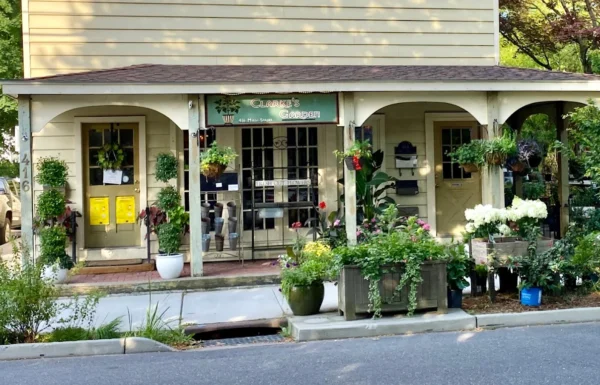 Clarke’s Garden Gallery 3