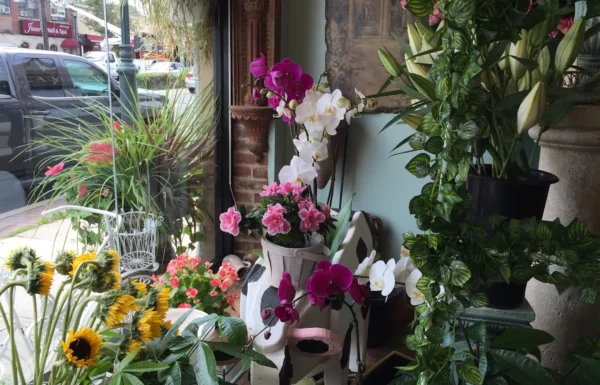 Williston Park Florist Gallery 2