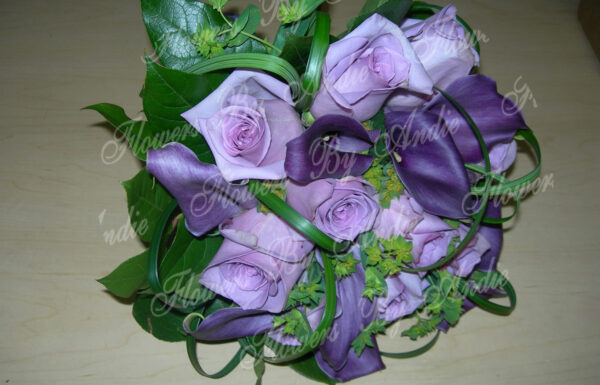 Flower and Blooms Gallery 0