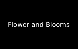 Florist Listing Category Flower and Blooms