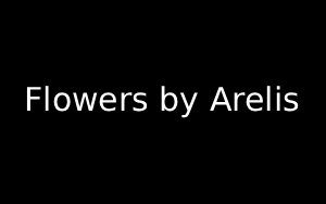 Florist Listing Category Flowers by Arelis