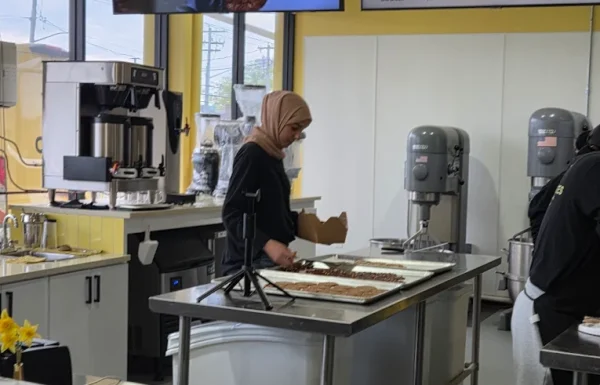 Thin Cookies – Hicksville Gallery 1