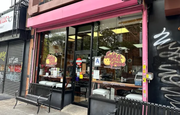 Sofia & Grace Cookie Gallery 2