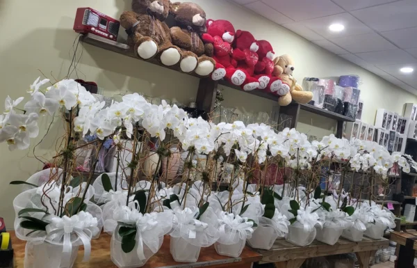 Jason’s Flowers Gallery 1