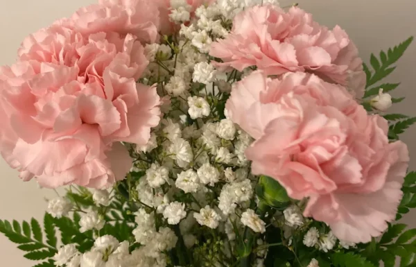 Flower and Blooms Gallery 2