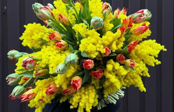 ABC Trade Flowers Gallery 2
