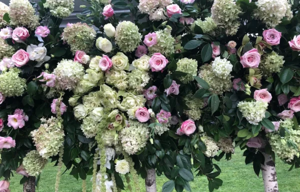 ABC Trade Flowers Gallery 0
