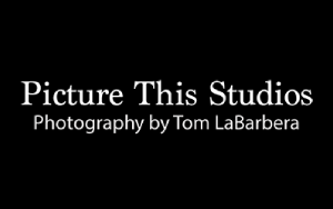 Photographer Listing Category Picture This Studios