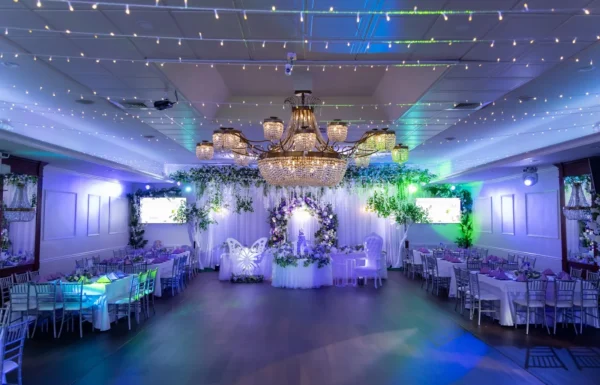 Princess Manor Gallery 3