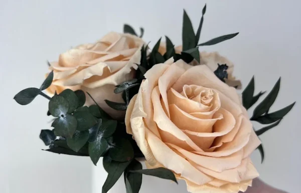 Nordblooms Gallery 2
