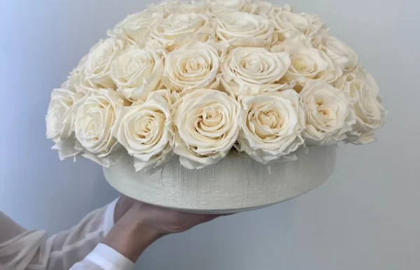 Nordblooms Gallery 1