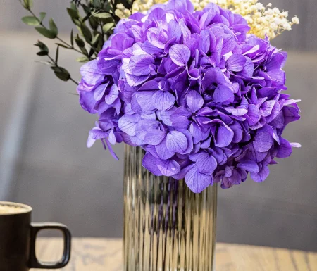Nordblooms Gallery 0