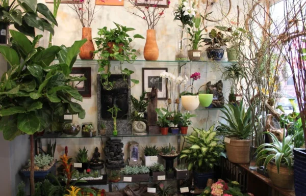 Evflorist Corp Gallery 3