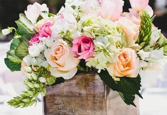 Evflorist Corp Gallery 2