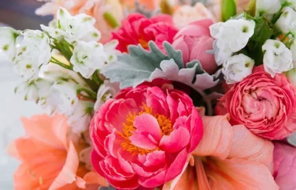 Evflorist Corp Gallery 0