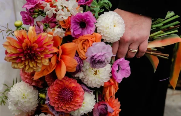 Fox Fodder Flowers Gallery 1