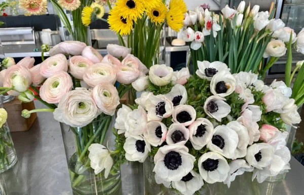 Fox Fodder Flowers Gallery 0