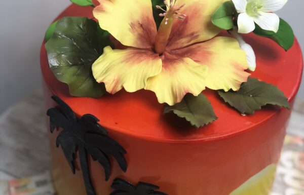 Frenchy’s Cake Designs Gallery 0