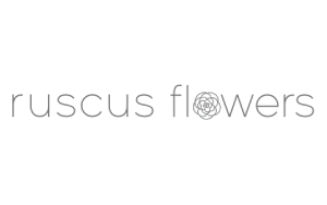 Florist Listing Category Ruscus Flowers