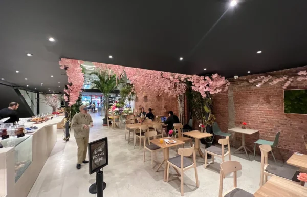 Ariston Flowers Gallery 2