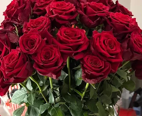 Mulberry Florist Gallery 1