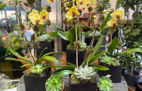 Jerome Florists Gallery 3