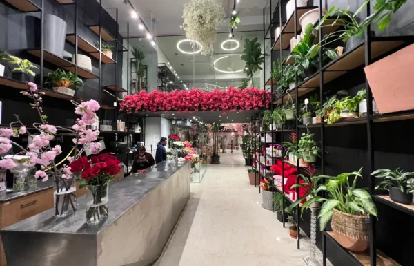 Ariston Flowers Gallery 1
