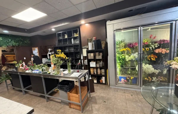 City Blossoms Gallery 2